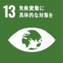 SDGs Goal 13